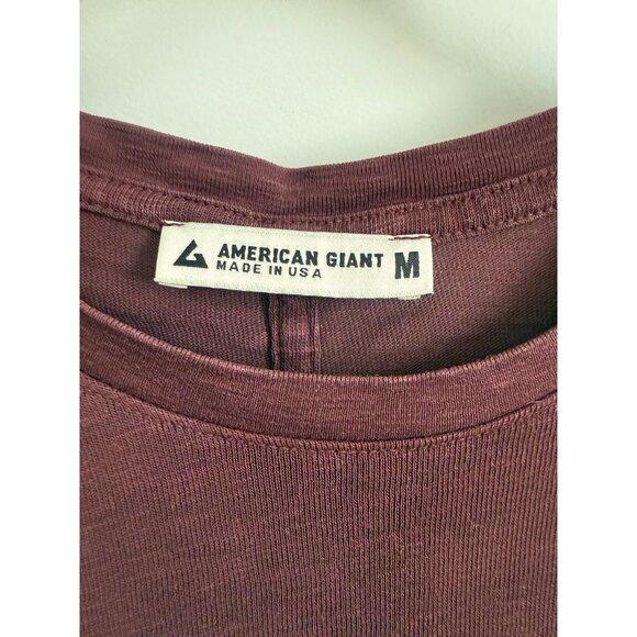 American Giant Women's Premium Slub Long Sleeve Crew Tee Brown - Picture 4 of 7